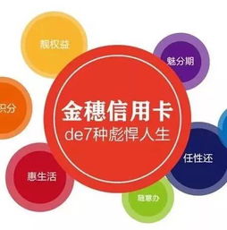 金穗溫州商人卡9周年歷程 金融創(chuàng)新與社會經(jīng)濟咨詢服務(wù)的雙輪驅(qū)動